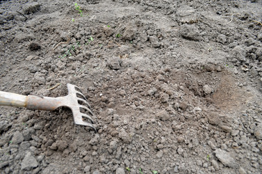 Similar image 22348272