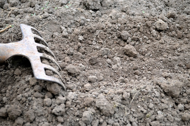 Similar image 22348273