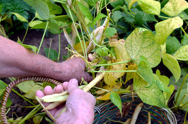 Similar image 22348274