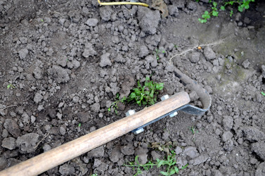 Similar image 22348275