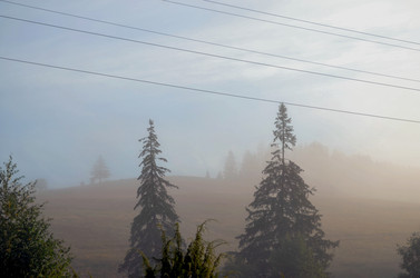 Similar image 22348276