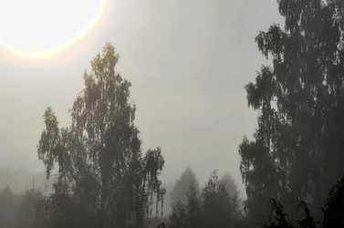 Similar image 22348277