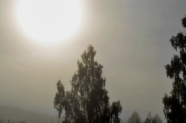 Similar image 22348278