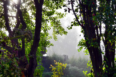 Similar image 22348279