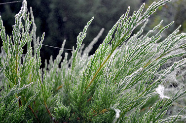 Similar image 22348281