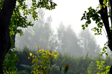 Similar image 22348282