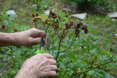 Similar image 22348283