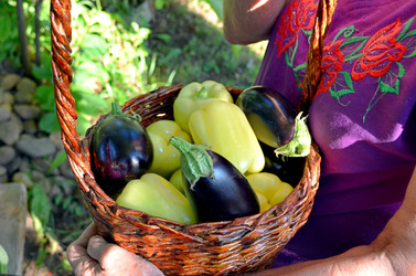 Similar image 22348284