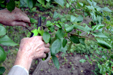 Similar image 22348286