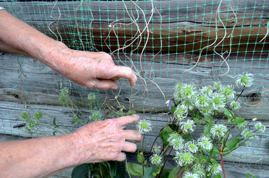 Similar image 22348287