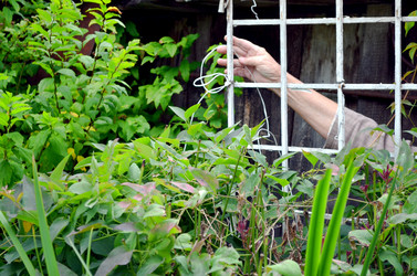 Similar image 22348288