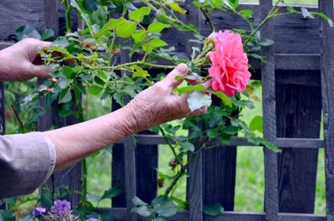 Similar image 22348289