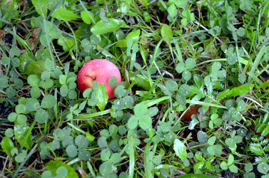 Similar image 22348291