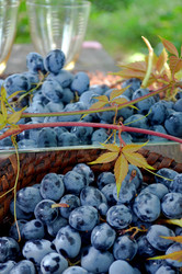 Similar image 22348292