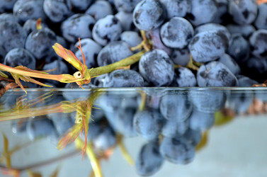 Similar image 22348293