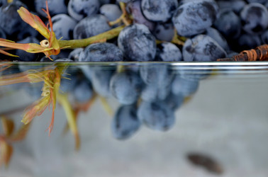 Similar image 22348294