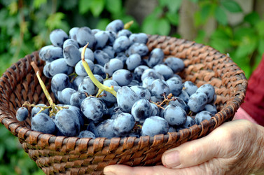 Similar image 22348295