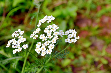 Similar image 22348297