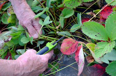 Similar image 22348298