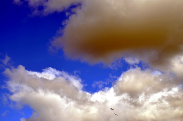 Similar image 22348300