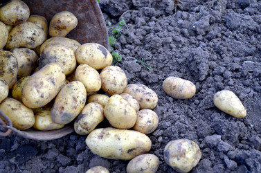 Similar image 22348302