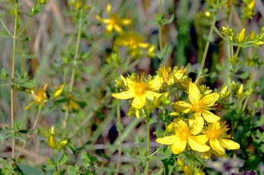 Similar image 22348303