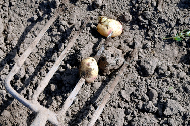 Similar image 22348304