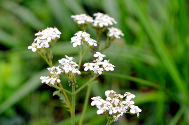 Similar image 22348305