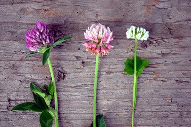 Similar image 22348306