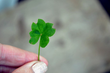 Similar image 22348307