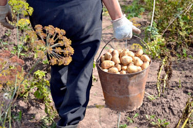 Similar image 22348308