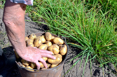 Similar image 22348309