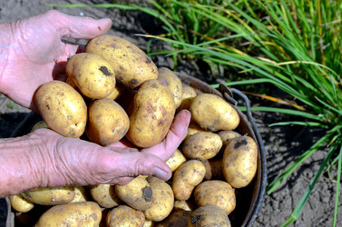 Similar image 22348310