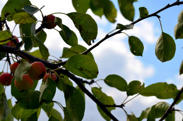 Similar image 22348311