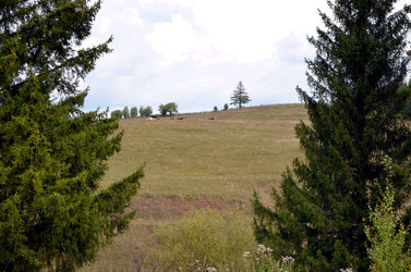 Similar image 22348312