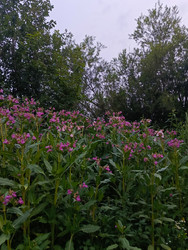 Similar image 22351233