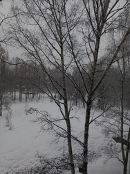 Similar image 22352801