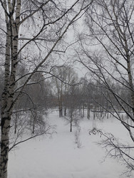 Similar image 22352803