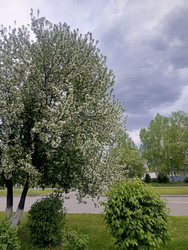 Similar image 22353976