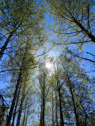 Similar image 22353979