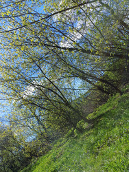 Similar image 22353981