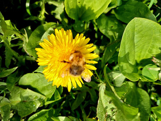 Similar image 22353983