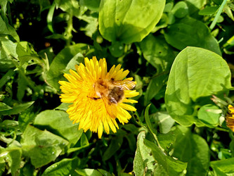 Similar image 22357743