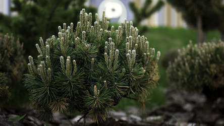 Similar image 22351528