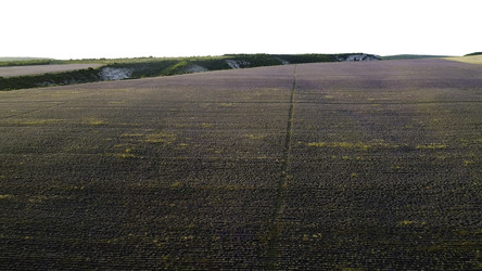 Similar image 22363504