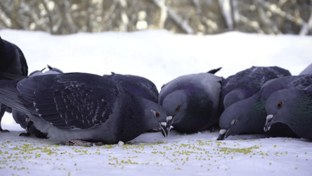 Similar image 22367172