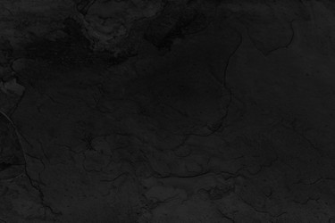 Similar image 22354609