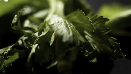 Similar image 22367741