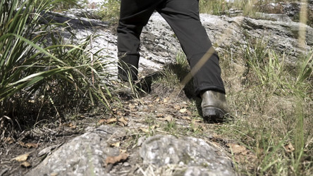 Similar image 22367801