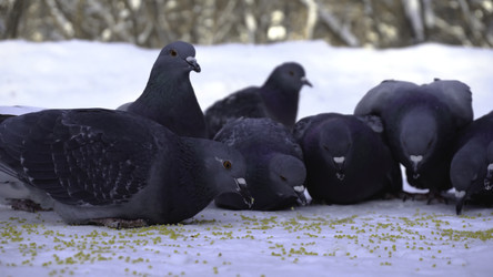 Similar image 22367860